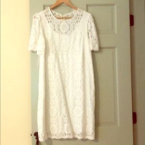 Dressbarn white lace dress, short sleeve